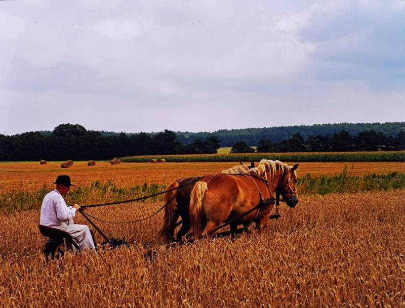 Spichrze nad Brdą- Muzeum Okręgowe im. Leona Wyczółkowskiego