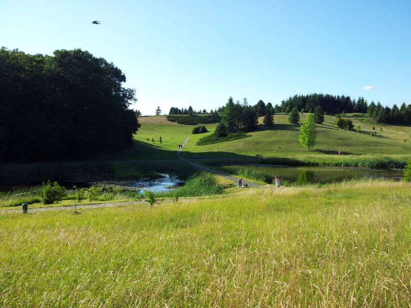 Park Myślęcinek