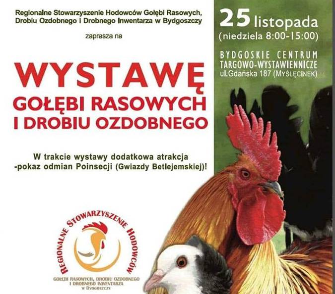 Bydgoskie Centrum Targowo-Wystawiennicze