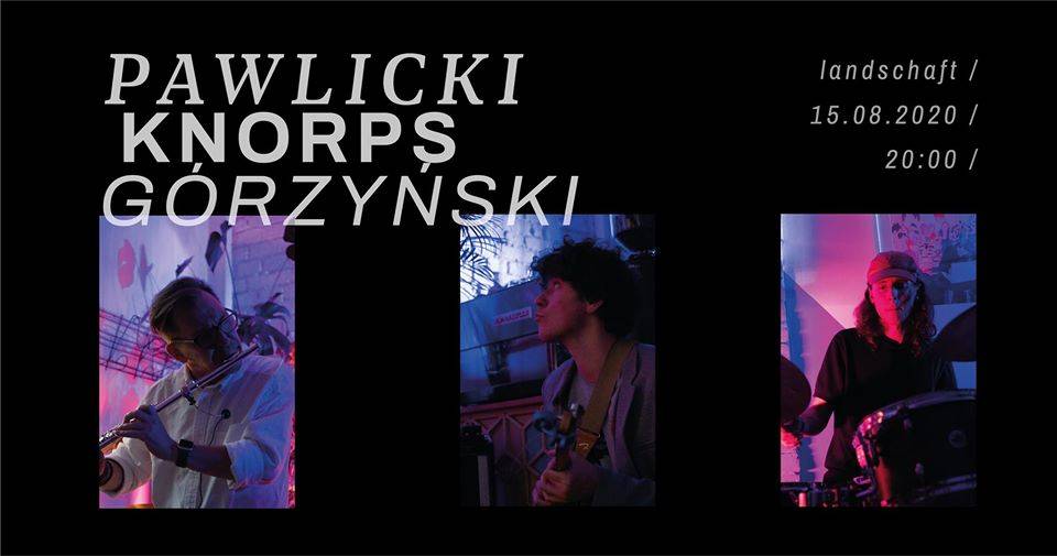 Pawlicki/Knorps/Górzyński