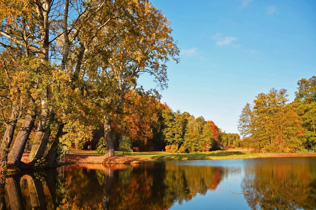 Park Myślęcinek