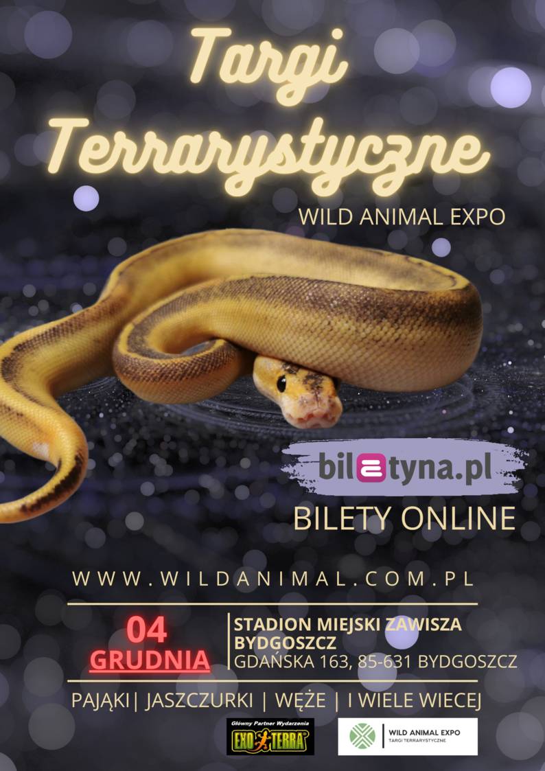 Targi Terrarystyczne Wild Animal Expo