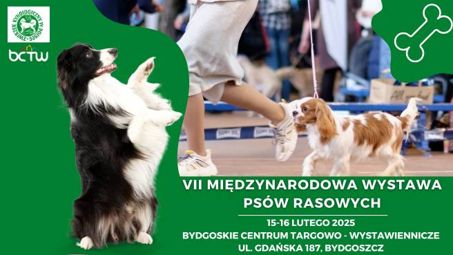 Bydgoskie Centrum Targowo-Wystawiennicze