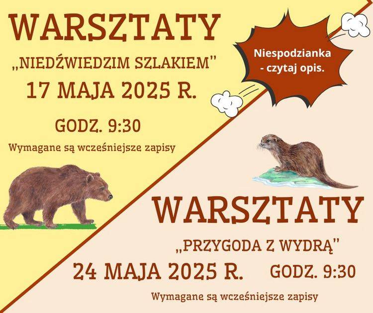 ZOO 