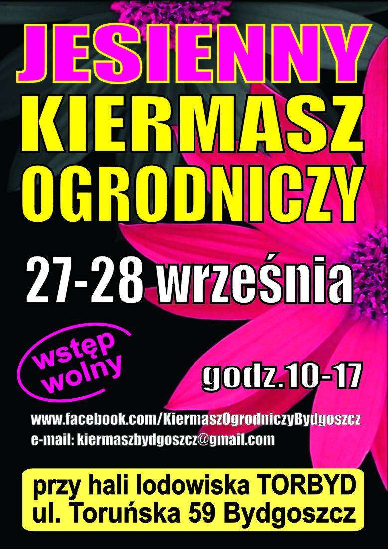 Lodowisko Torbyd