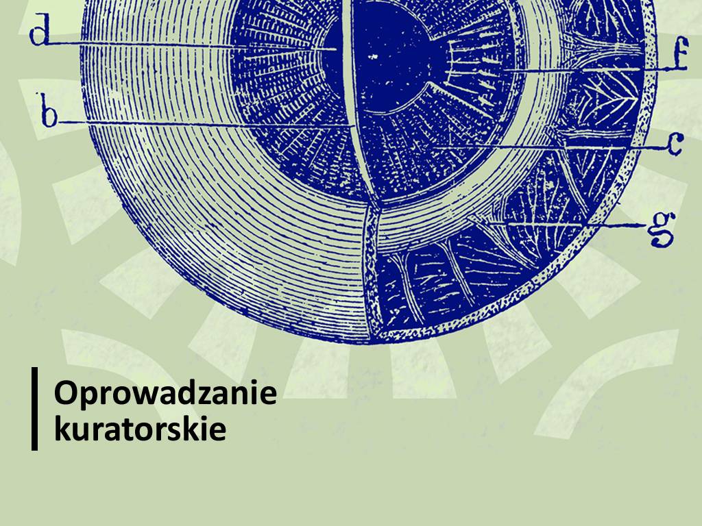 Apteka "Pod Łabędziem"