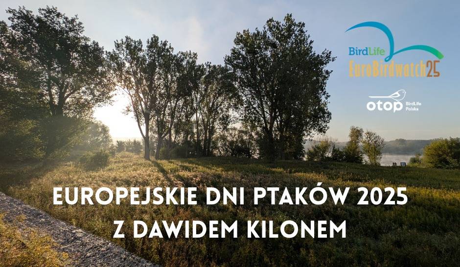 Bulwary Wiślane i przystań (Stary Fordon)