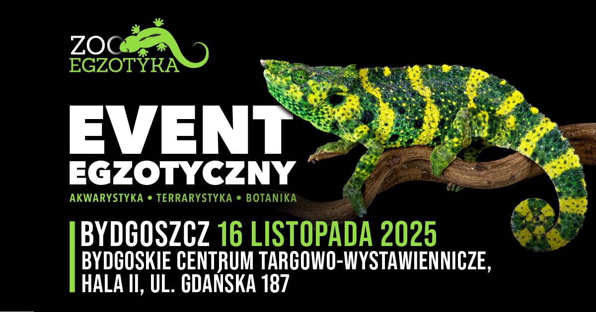 Bydgoskie Centrum Targowo-Wystawiennicze