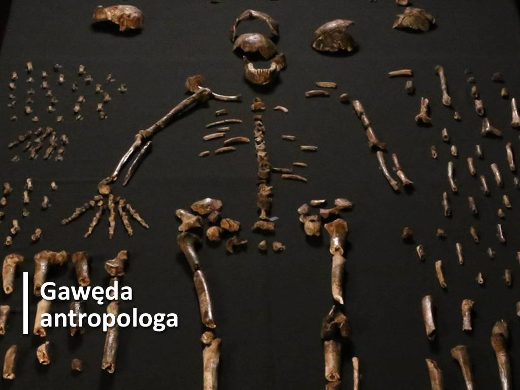 Muzeum Okręgowe - Gdańska 4