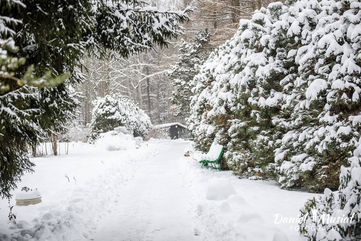 Ogród Botaniczny w Myślęcinku