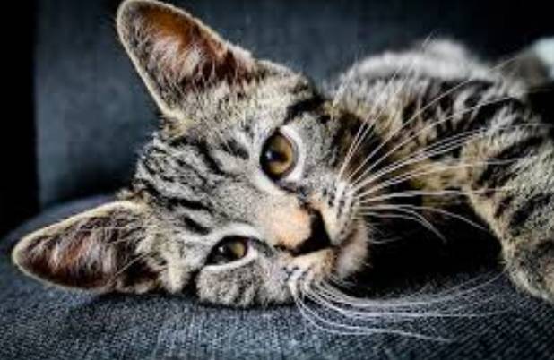 Zespół Pałacowo Parkowy Ostromecko 