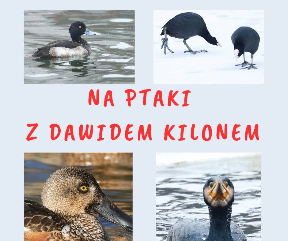 Bydgoski Balaton - park i jezioro