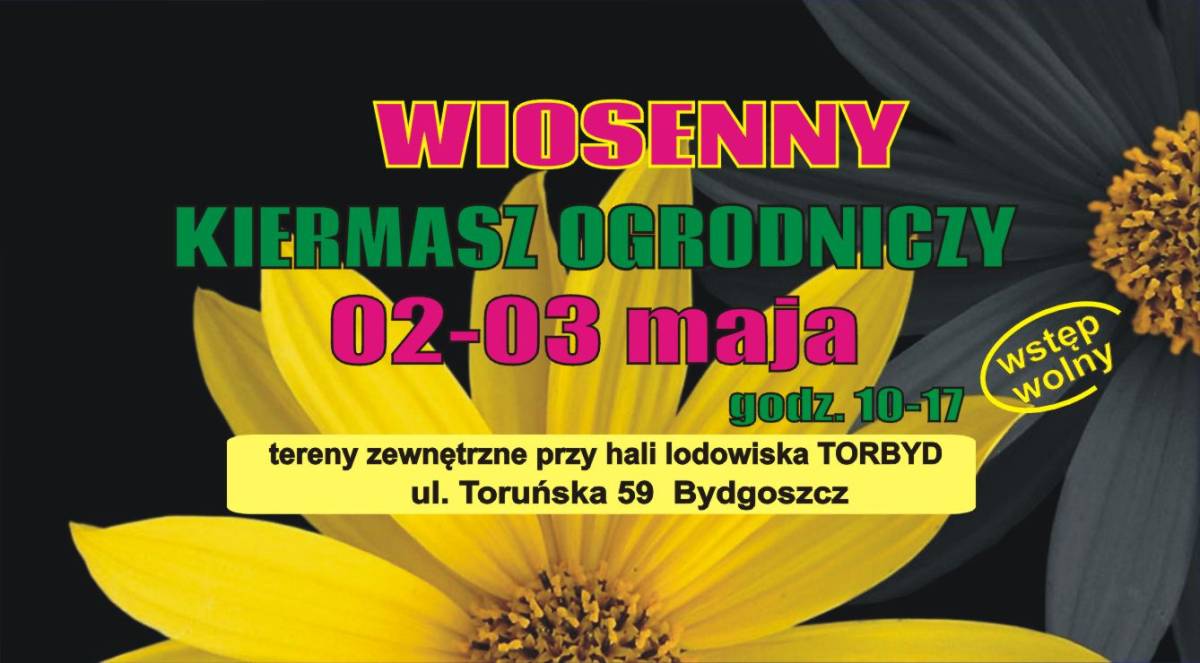 Lodowisko Torbyd