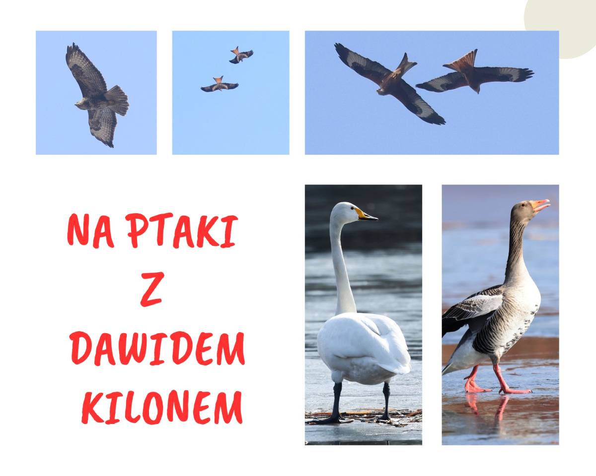 Ogród Botaniczny w Myślęcinku