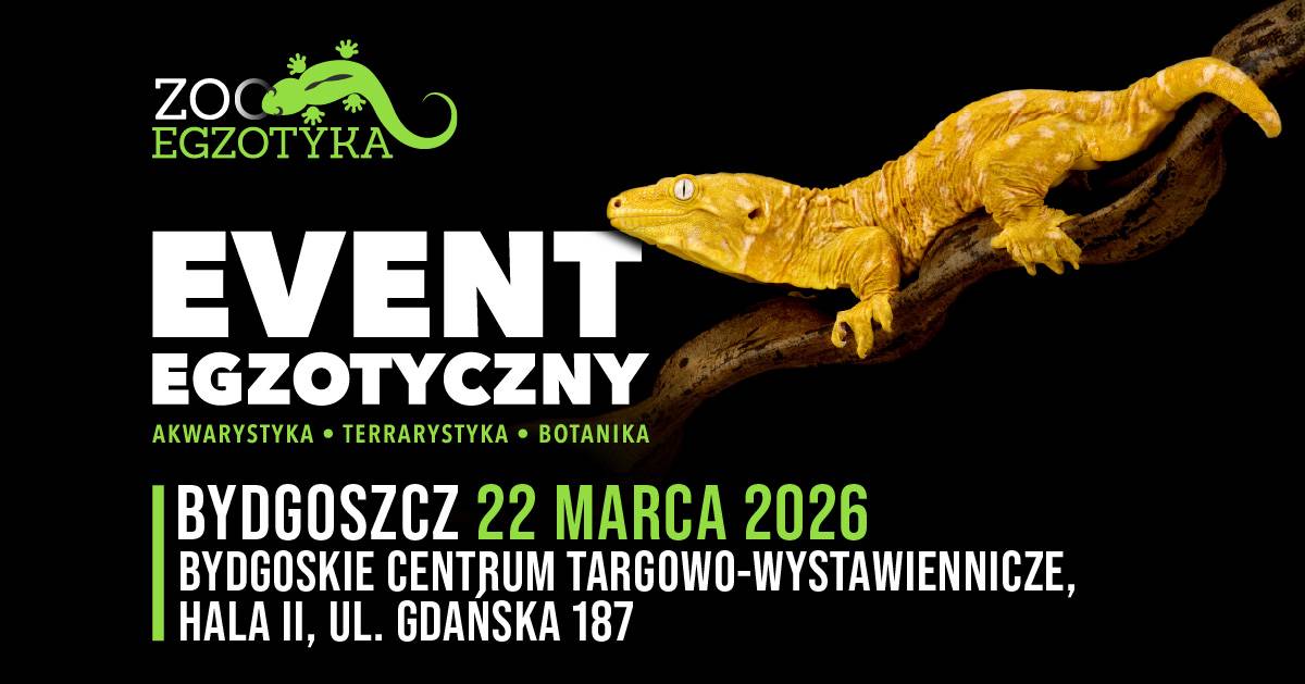 Bydgoskie Centrum Targowo-Wystawiennicze