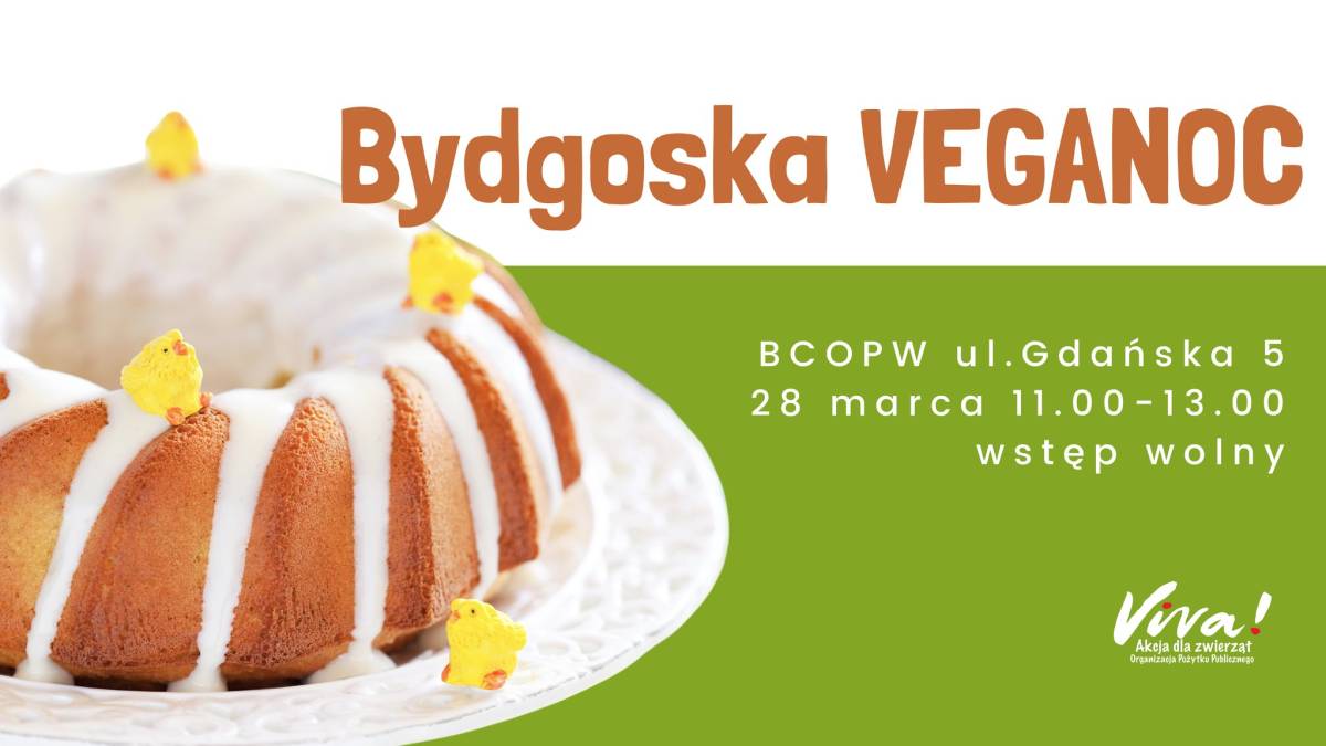Bydgoskie Centrum Organizacji Pozarządowych i Wolontariatu
