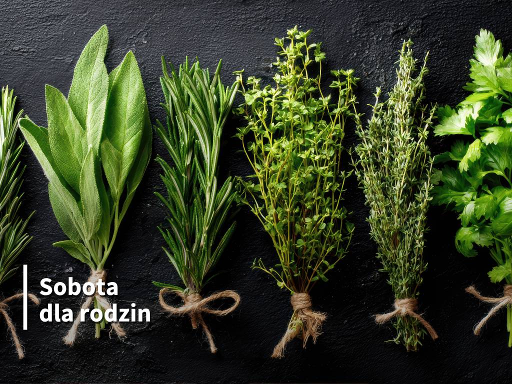 Apteka "Pod Łabędziem"