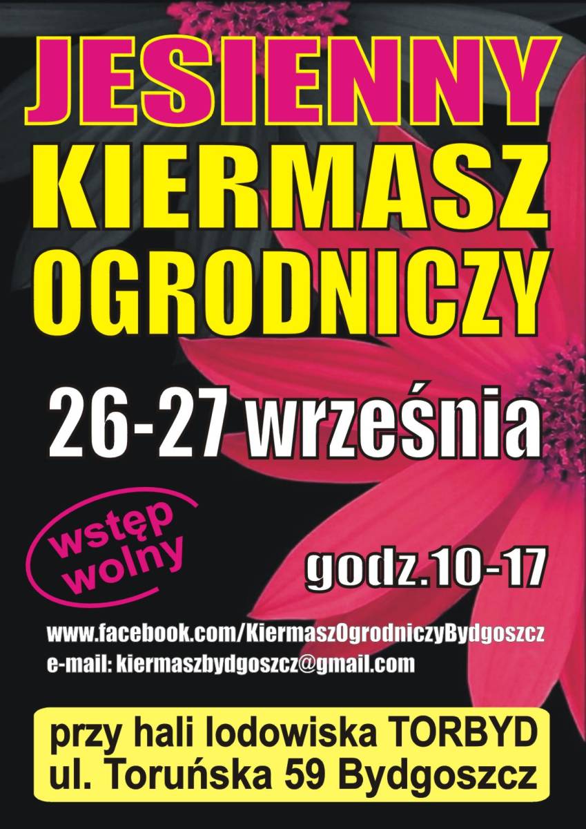 Lodowisko Torbyd