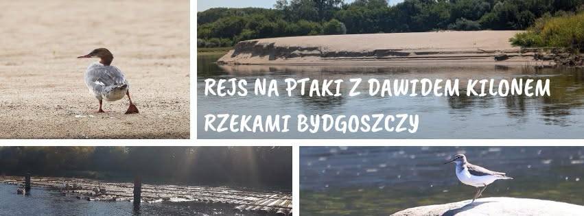 Wyspa Młyńska