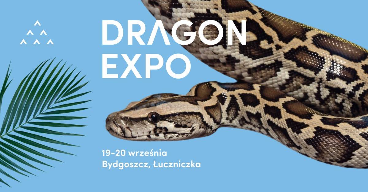 HSW Immobile Łuczniczka