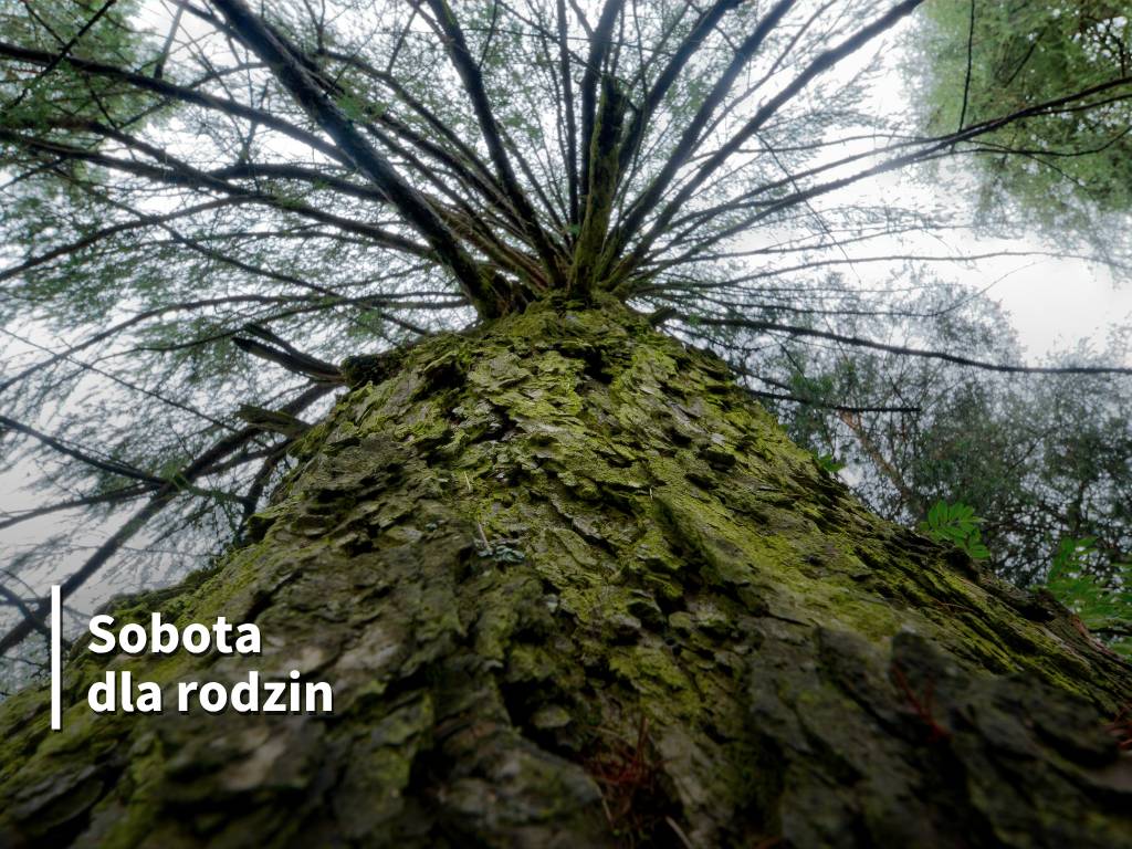 Apteka "Pod Łabędziem"
