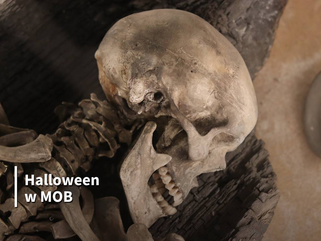 Biały Spichrz - Zbiory Archeologiczne (MOB)