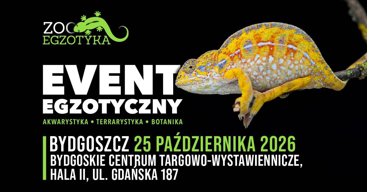 Bydgoskie Centrum Targowo-Wystawiennicze